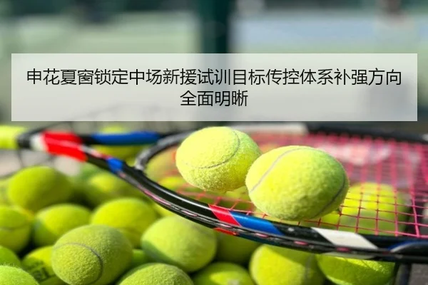 申花夏窗锁定中场新援试训目标传控体系补强方向全面明晰