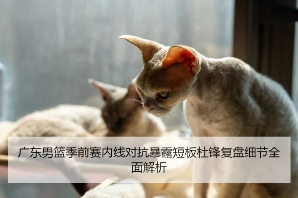 广东男篮季前赛内线对抗暴露短板杜锋复盘细节全面解析